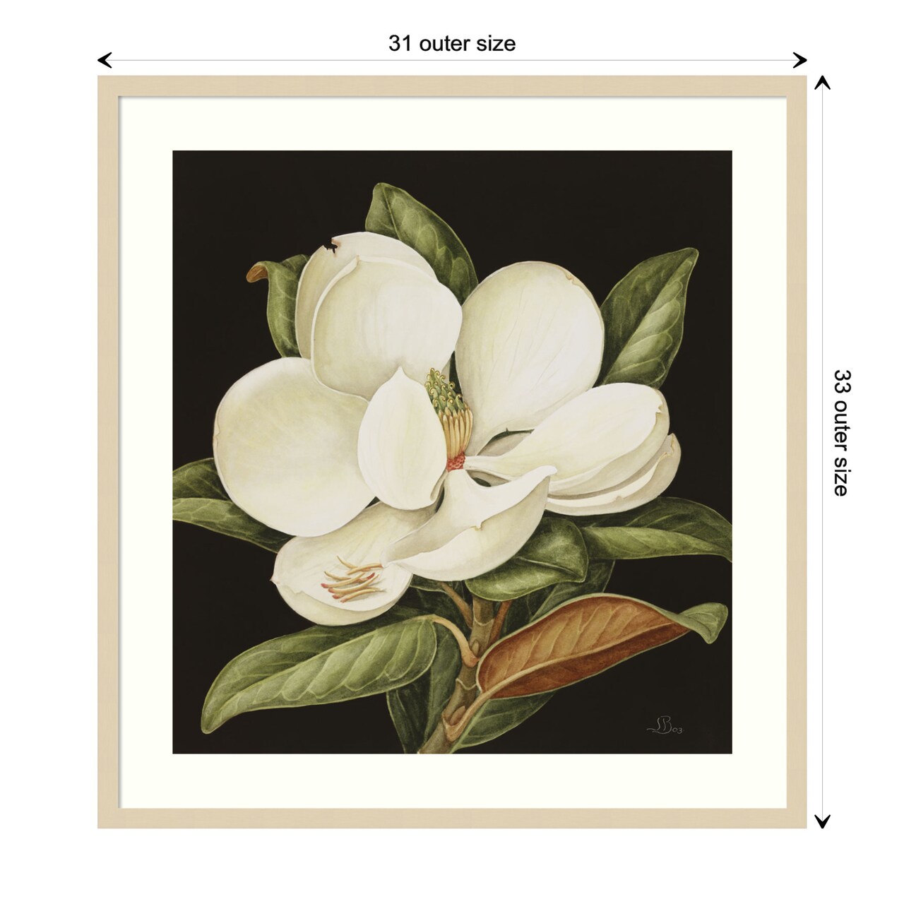 Magnolia Grandiflora 2003 by Jenny Barron Wood Framed Wall Art Print